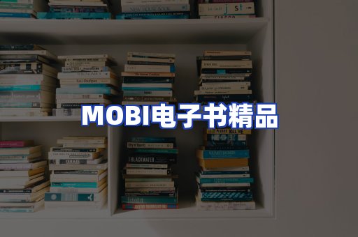 外文电子书产品