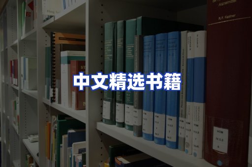 中文精选书籍